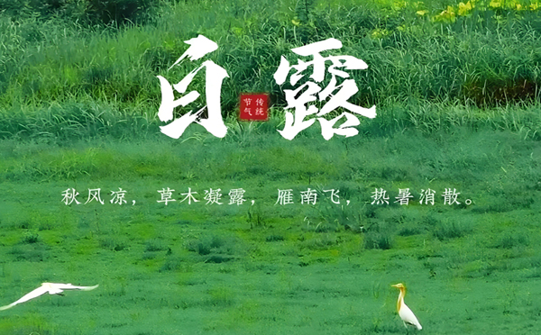 加查白露清新，新创洁与您共享洁净之美